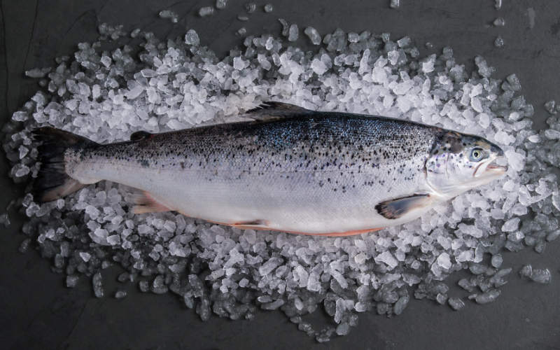 Marble Arch Fishery Aquaculture Northern Ireland Salmon producers.