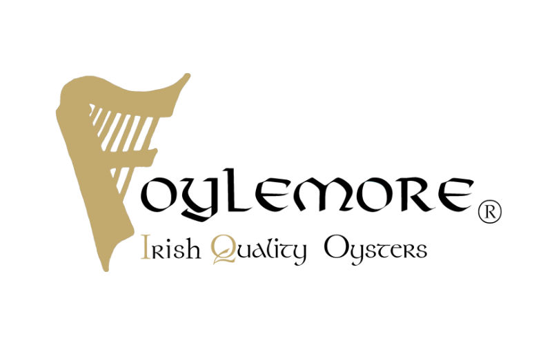 Foylesmore Oysters Aquaculture Northern Ireland oyster producers.