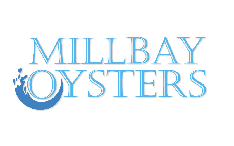 Millbay Oysters Aquaculture Northern Ireland oyster producers.